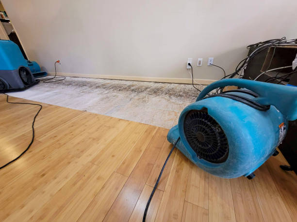 Professional Basement Flood Cleanup technician working in North Fork, CA